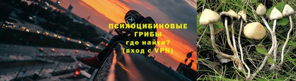 гидра Балабаново