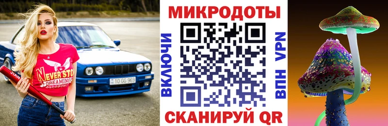 Псилоцибиновые грибы Psilocybe  Магас 